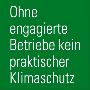 Flyer-einzelne Bilder für web2