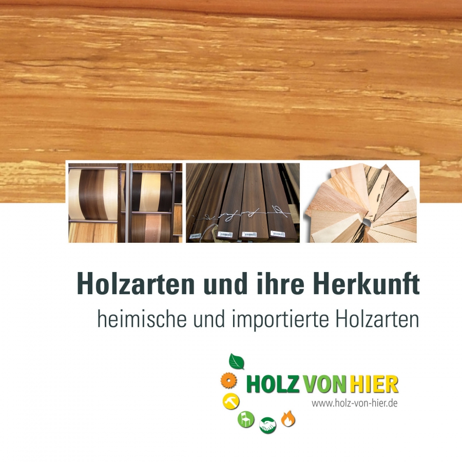 Herkunft und Verwendung Hölzer – Holz-von-Hier.eu